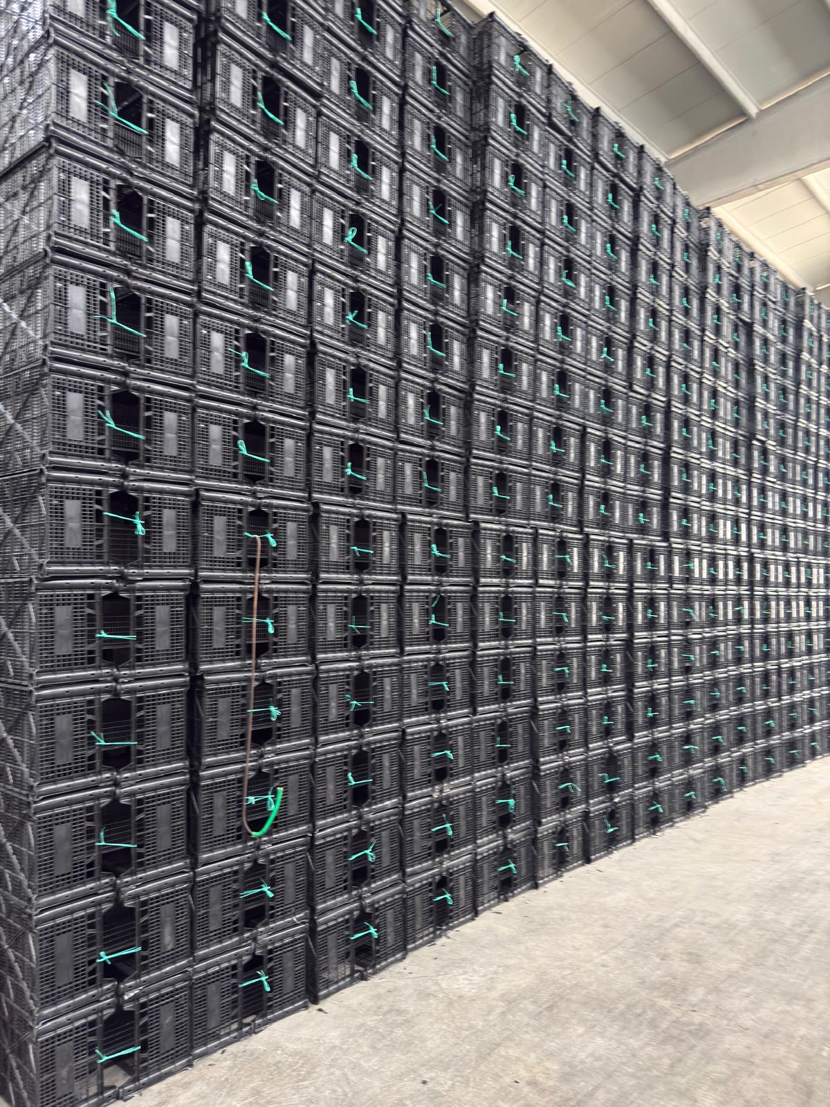 DPK31 Mantar Kasası